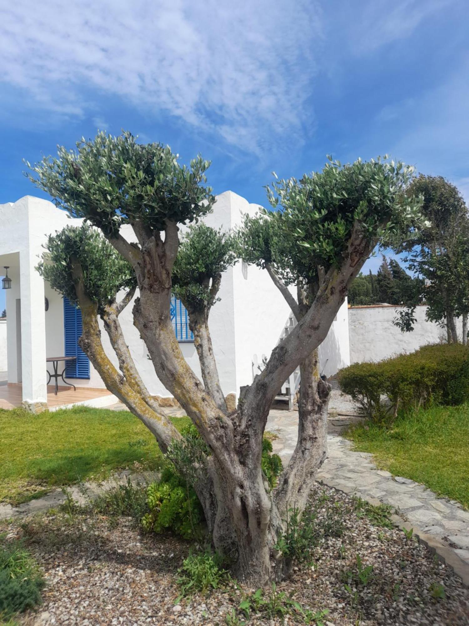 Alojamientos Rurales Inma Conil De La Frontera Extérieur photo